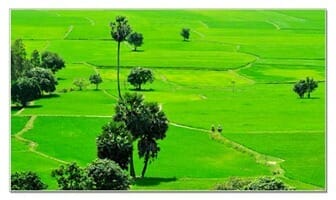 clip_image008 clip_image008