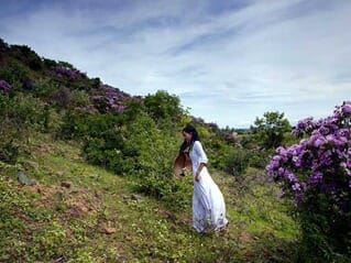 clip_image012 clip_image012