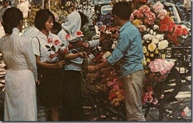 clip_image022 clip_image022