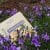 clip_image002