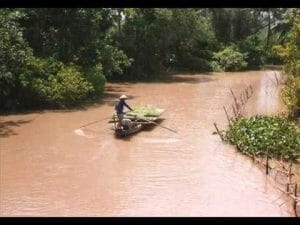 tham dam