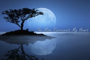 The Moon Represents My Heart