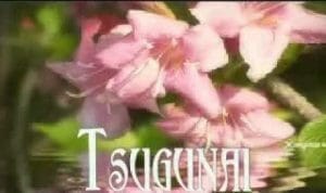 Tsugunai