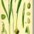 clip_image004